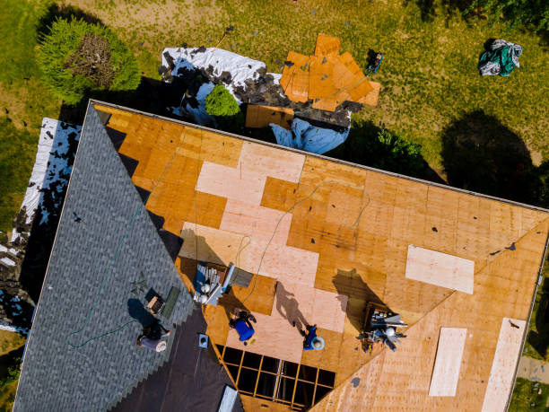 Best Storm Damage Roof Repair  in Pickens, MS