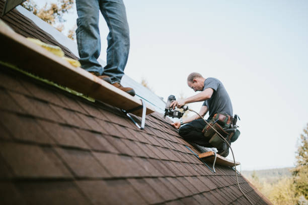 Best Roof Gutter Cleaning  in Pickens, MS